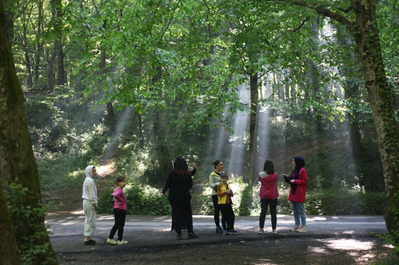 Eyüpsultan’da kişi başına 15 metrekare yeşil alan düşüyor