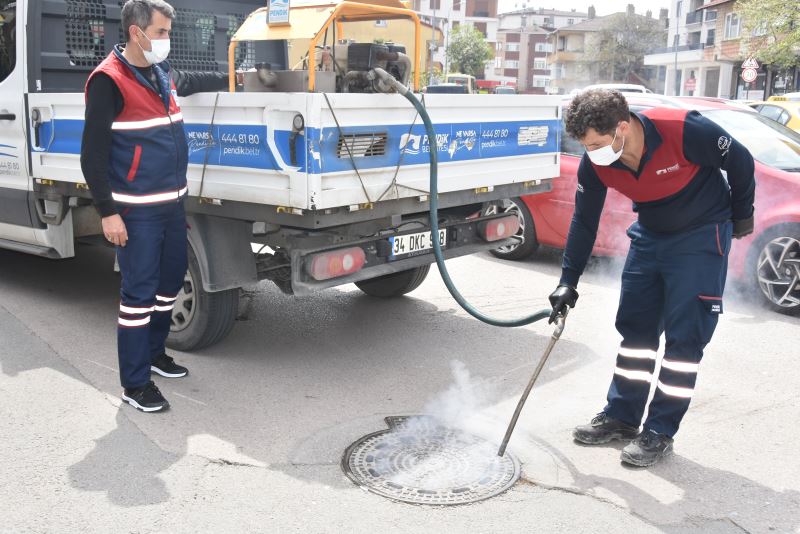 Sivrisineklere karşı erken müdahale